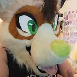 ashyracwolf
