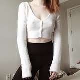 gingerrbabe
