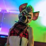 ryffhyena