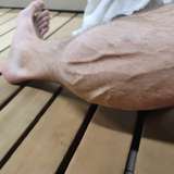 tommy_calves