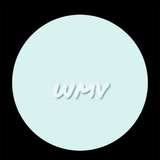 wmvpov