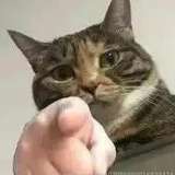 407089956217954304
