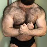 thestrongbear