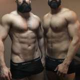 thebeardedgorillas